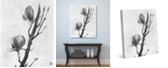Creative Gallery Tulip Tree Flowers in Black White 20" x 16" Canvas Wall Art Print